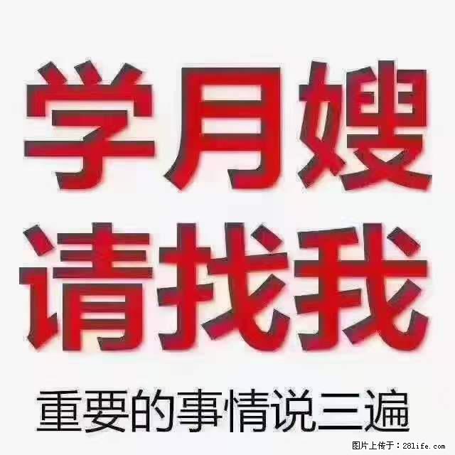 为什么要学习月嫂,育婴师? - 新手上路 - 乌兰察布生活社区 - 乌兰察布28生活网 wlcb.28life.com
