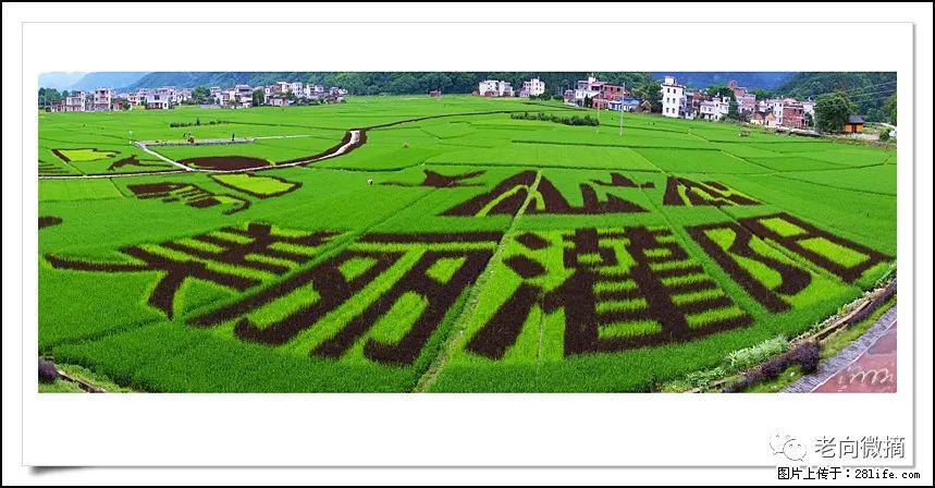 【春天,广西桂林灌阳县向您发出邀请!】开篇 - 游山玩水 - 乌兰察布生活社区 - 乌兰察布28生活网 wlcb.28life.com