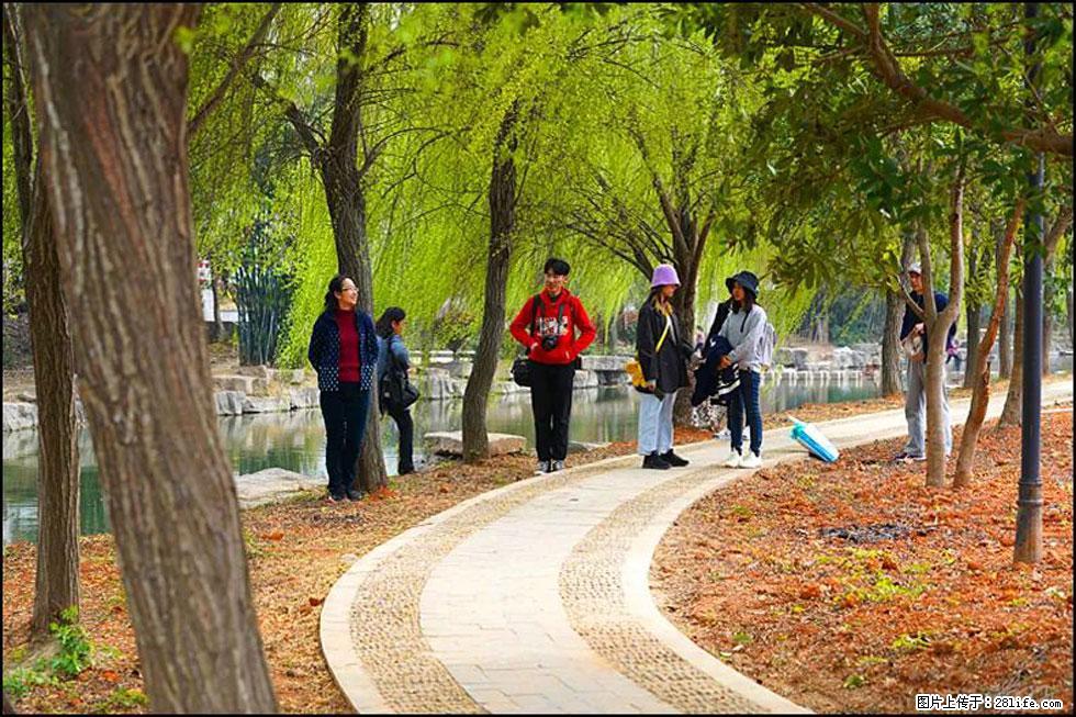 【春天,广西桂林灌阳县向您发出邀请!】江口老街又逢春 - 游山玩水 - 乌兰察布生活社区 - 乌兰察布28生活网 wlcb.28life.com