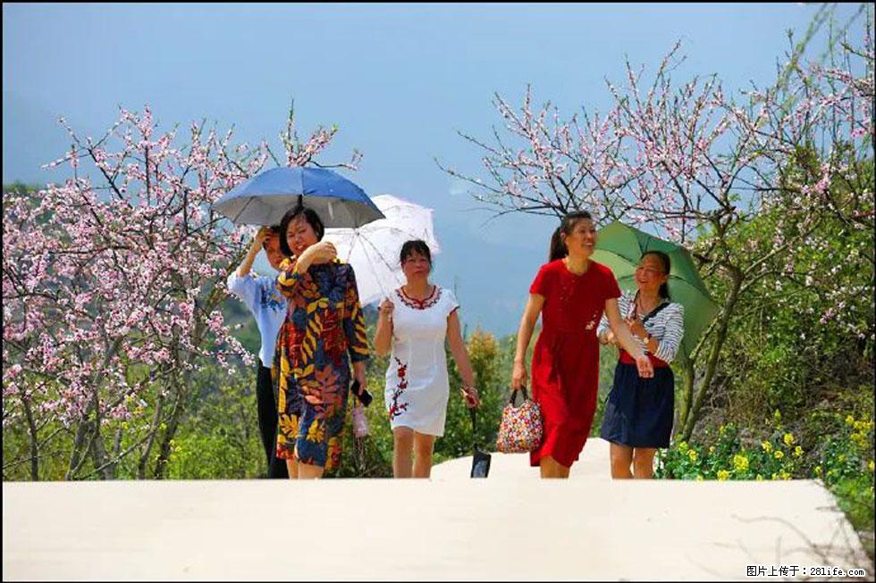 【春天,广西桂林灌阳县向您发出邀请!】望月岭上桃花开 - 游山玩水 - 乌兰察布生活社区 - 乌兰察布28生活网 wlcb.28life.com