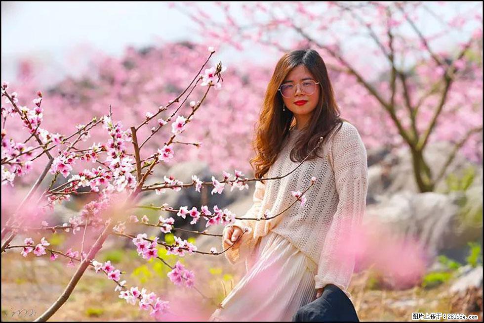 【春天,广西桂林灌阳县向您发出邀请!】望月岭上桃花开 - 游山玩水 - 乌兰察布生活社区 - 乌兰察布28生活网 wlcb.28life.com