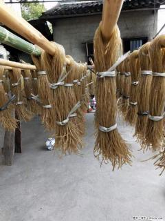 【灌阳正宗红薯粉】美女家里自己做的，干净卫生，假一赔十，价格合理，抢购电话：13737312895 - 乌兰察布28生活网 wlcb.28life.com