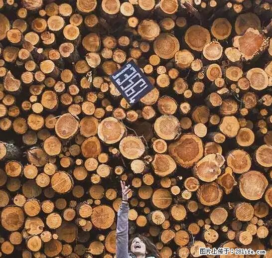 辞掉工作周游世界?现在他们在洗厕所…… - 游山玩水 - 乌兰察布生活社区 - 乌兰察布28生活网 wlcb.28life.com