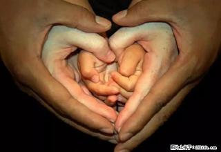 怡园小区车库 1室1厅1 - 乌兰察布28生活网 wlcb.28life.com