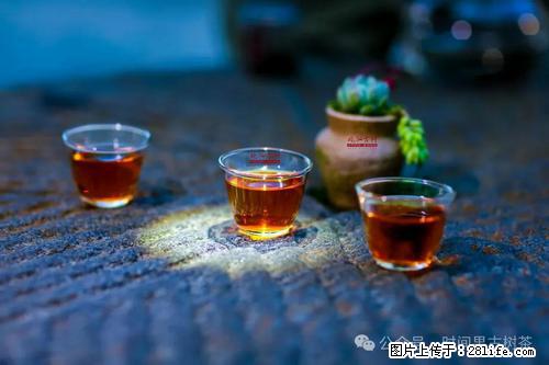 时间果百年古树2025年春红茶 - 购物交流 - 乌兰察布生活社区 - 乌兰察布28生活网 wlcb.28life.com