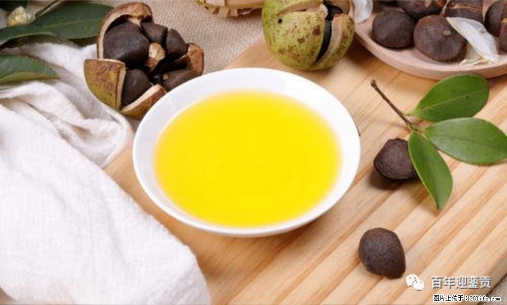 揭秘茶油的5大核心营养成分!被称为人体健康的“守护盾”! - 乌兰察布生活资讯 - 乌兰察布28生活网 wlcb.28life.com