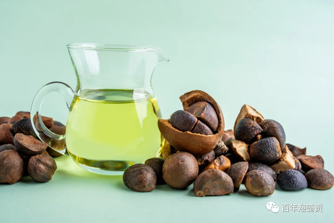 世界没有真相,只有认知,最好的食用油是中国的山茶油! - 乌兰察布生活资讯 - 乌兰察布28生活网 wlcb.28life.com