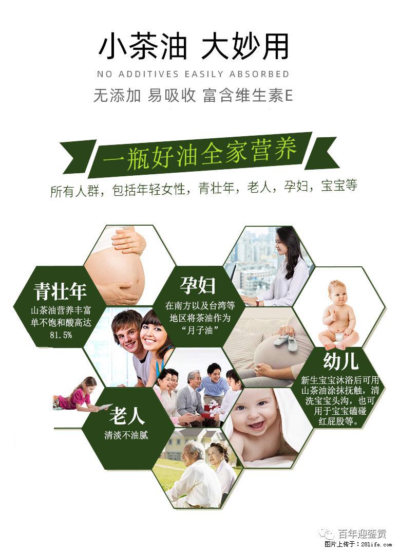 世界没有真相,只有认知,最好的食用油是中国的山茶油! - 乌兰察布生活资讯 - 乌兰察布28生活网 wlcb.28life.com