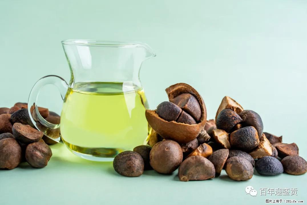 世界没有真相，只有认知，最好的食用油是中国的山茶油！ - 乌兰察布生活资讯 - 乌兰察布28生活网 wlcb.28life.com