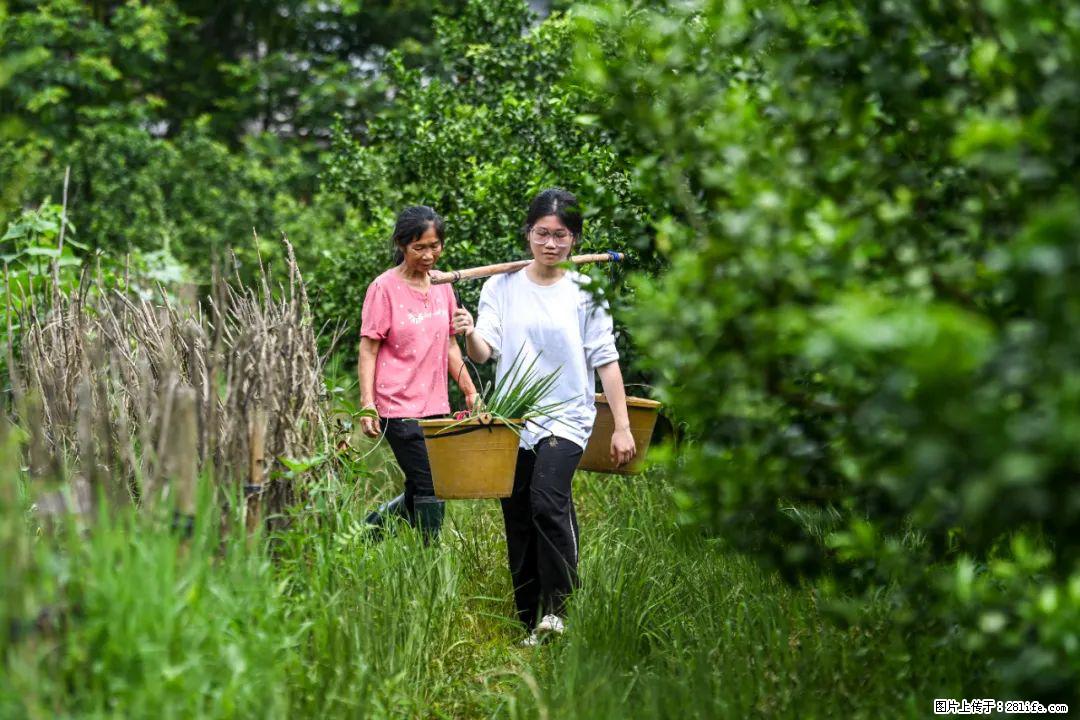 全网追的“扁担女孩”，找了一份暑假工，时薪12元 - 乌兰察布生活资讯 - 乌兰察布28生活网 wlcb.28life.com