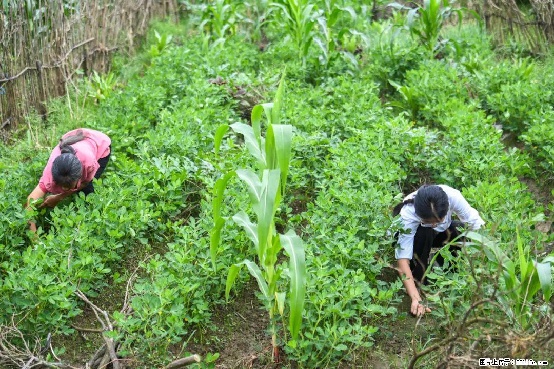全网追的“扁担女孩”，找了一份暑假工，时薪12元 - 乌兰察布生活资讯 - 乌兰察布28生活网 wlcb.28life.com