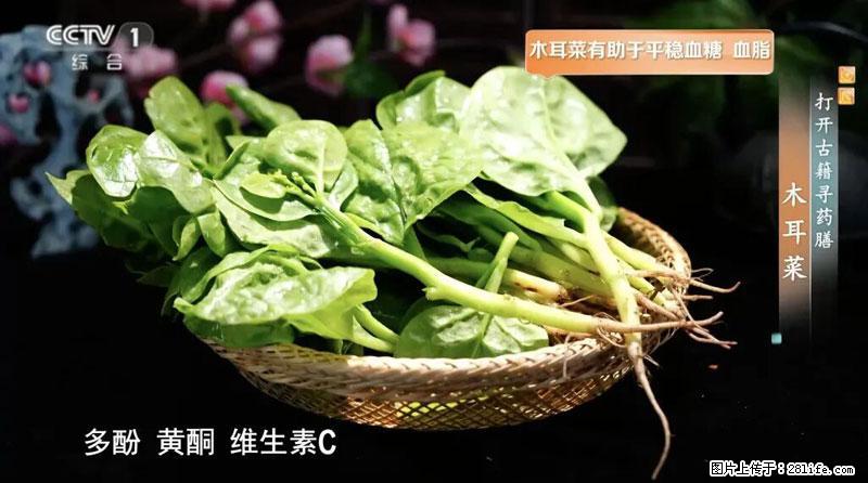 比牛奶补钙还厉害!凉血解毒、稳血糖...这菜冬天必吃,很多人却当草 - 乌兰察布生活资讯 - 乌兰察布28生活网 wlcb.28life.com