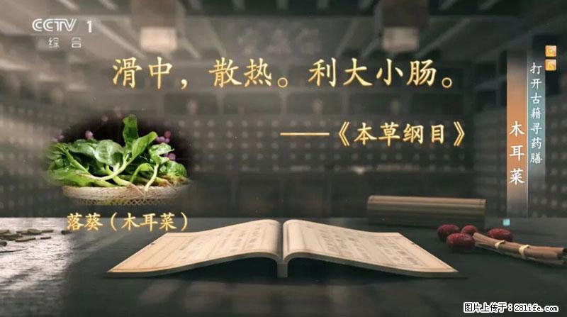 比牛奶补钙还厉害!凉血解毒、稳血糖...这菜冬天必吃,很多人却当草 - 乌兰察布生活资讯 - 乌兰察布28生活网 wlcb.28life.com