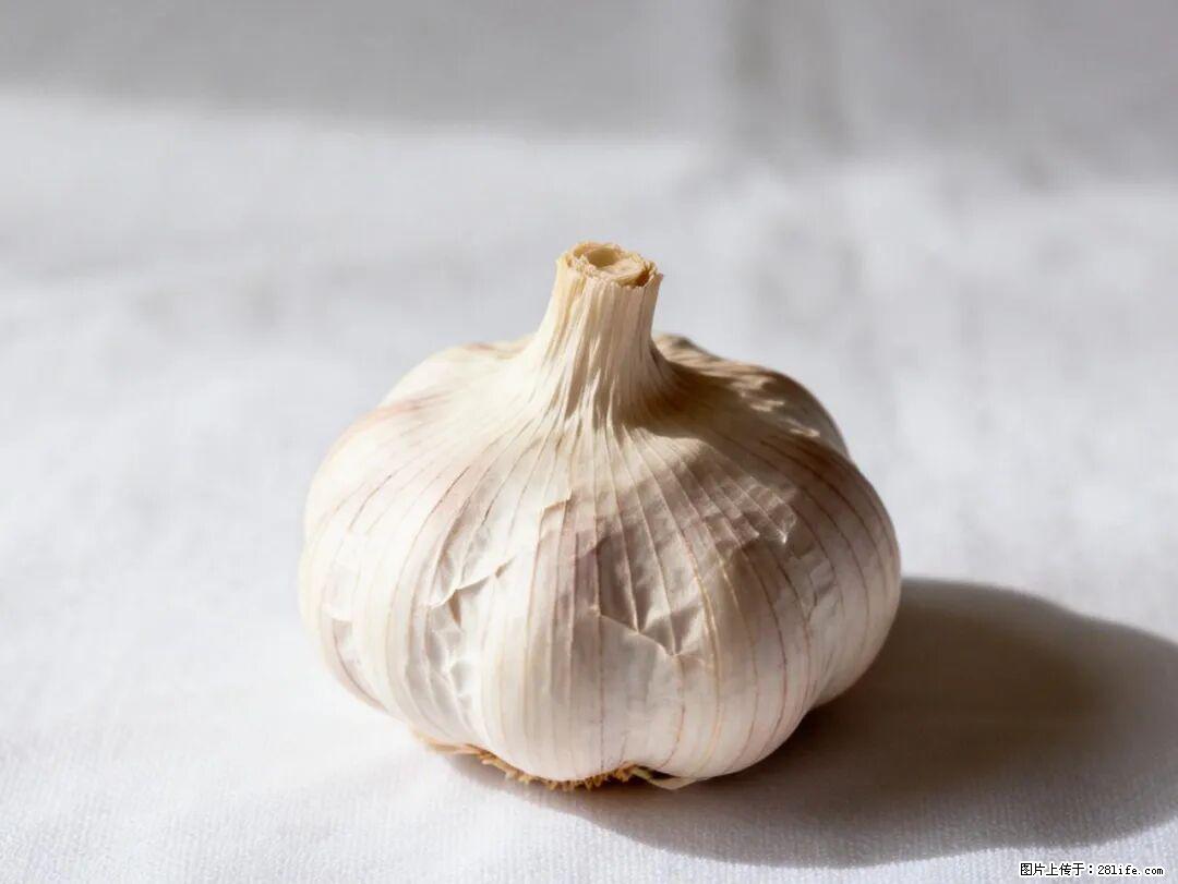 关于大蒜,除了“天然抗生素”,这4个谣言更该警惕! - 乌兰察布生活资讯 - 乌兰察布28生活网 wlcb.28life.com