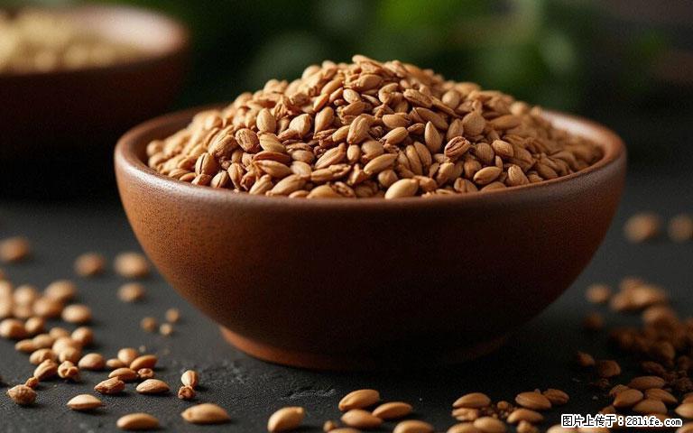 这三苦是三高“克星”,心血管干净不易堵!每天吃一点,指标慢慢降下来~ - 乌兰察布生活资讯 - 乌兰察布28生活网 wlcb.28life.com