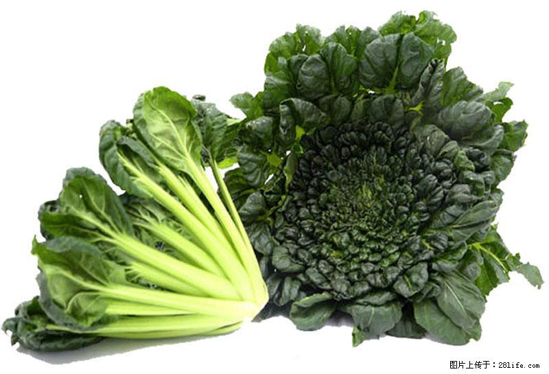 这些蔬菜是“天然钙片”，这6种被医生重点推荐 - 乌兰察布生活资讯 - 乌兰察布28生活网 wlcb.28life.com