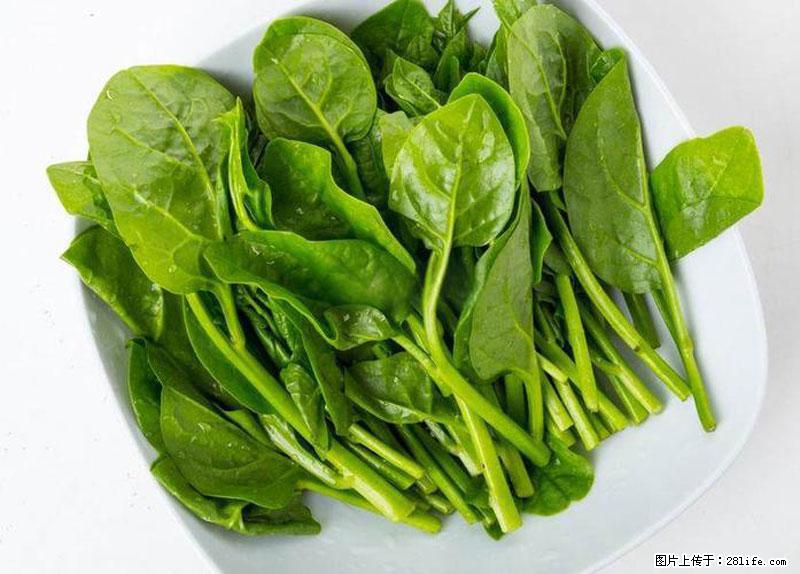 这些蔬菜是“天然钙片”，这6种被医生重点推荐 - 乌兰察布生活资讯 - 乌兰察布28生活网 wlcb.28life.com