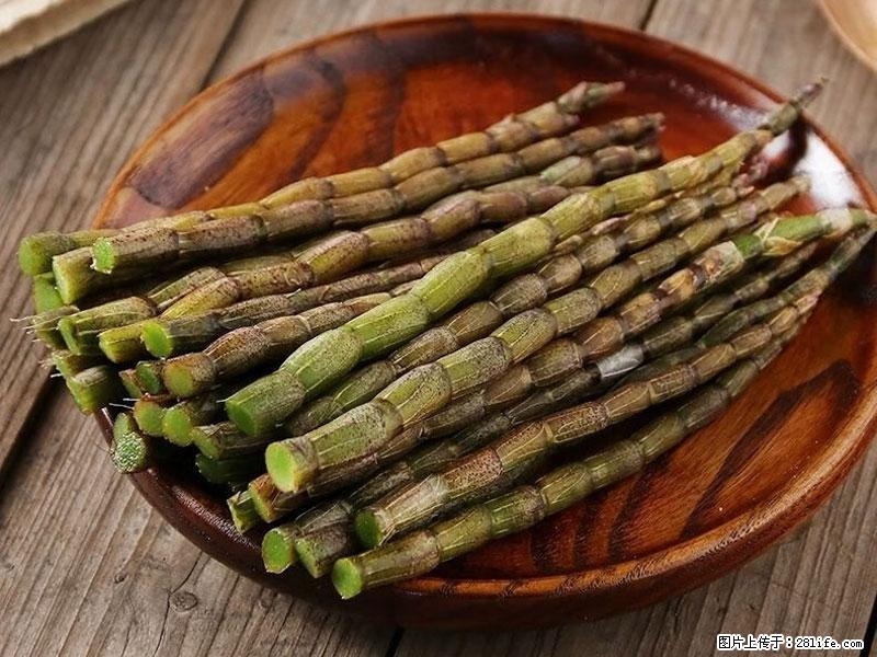 铁皮石斛的作用与功能主治 - 乌兰察布生活资讯 - 乌兰察布28生活网 wlcb.28life.com