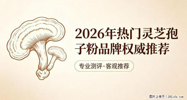 灵芝孢子粉含量越高越有效？2026 年七款热门品牌深度实测，肠胃敏感者避坑指南 - 乌兰察布生活资讯 - 乌兰察布28生活网 wlcb.28life.com